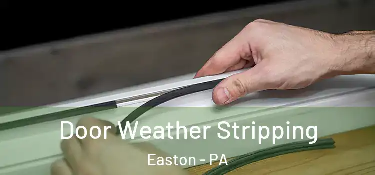 Door Weather Stripping Easton - PA