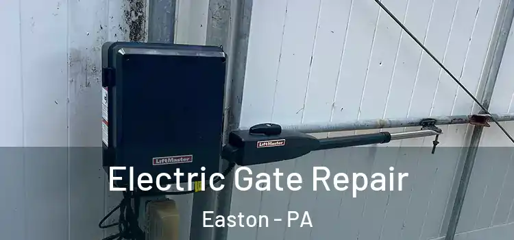 Electric Gate Repair Easton - PA