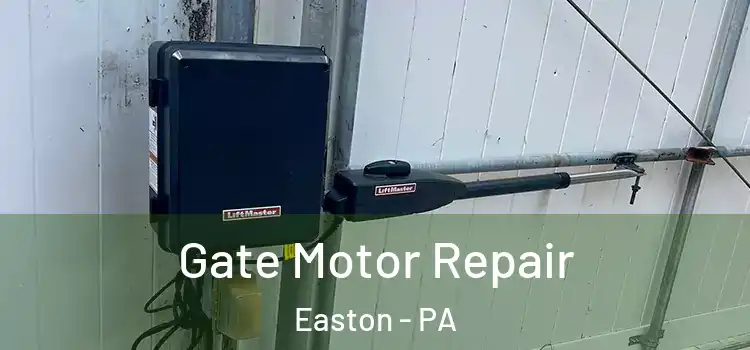 Gate Motor Repair Easton - PA